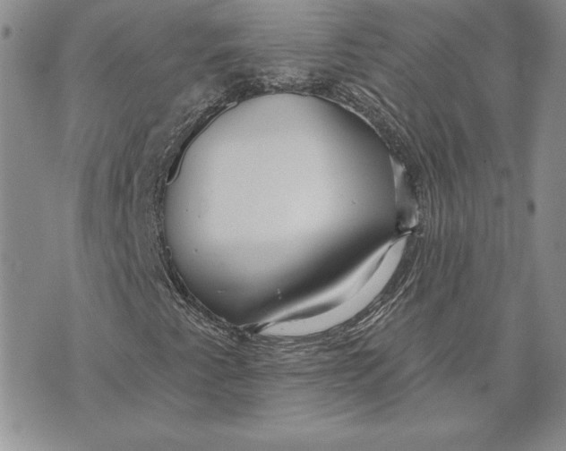 X0000070821345200607071706