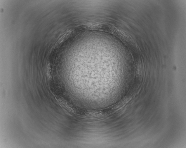X0000070821346200607071706