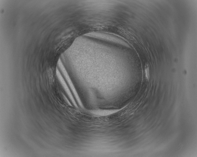 X0000070821347200607071706