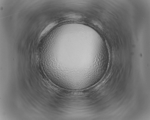 X0000070821354200607071706