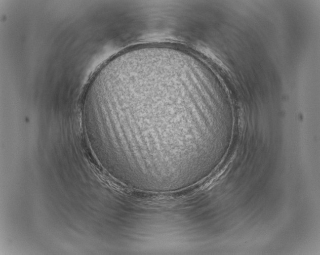 X0000070821358200607071706