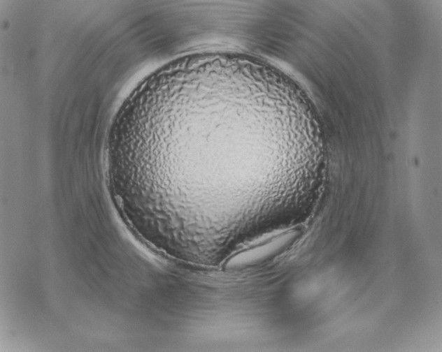 X0000070821383200607071705