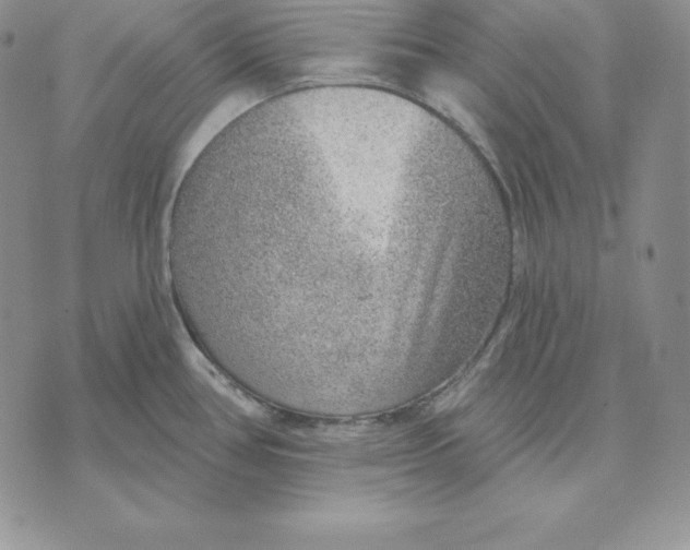 X0000070821386200607071705