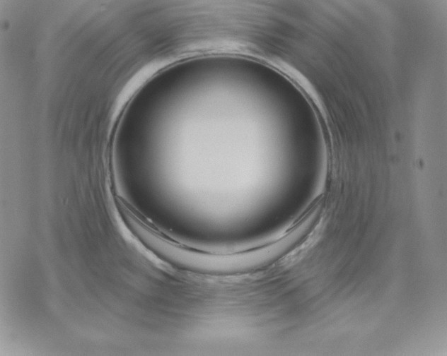 X0000070821389200607071705