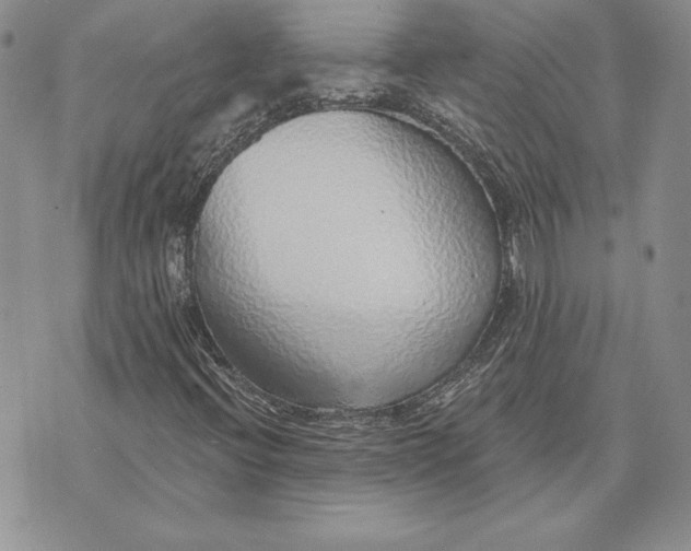 X0000070821396200607071704