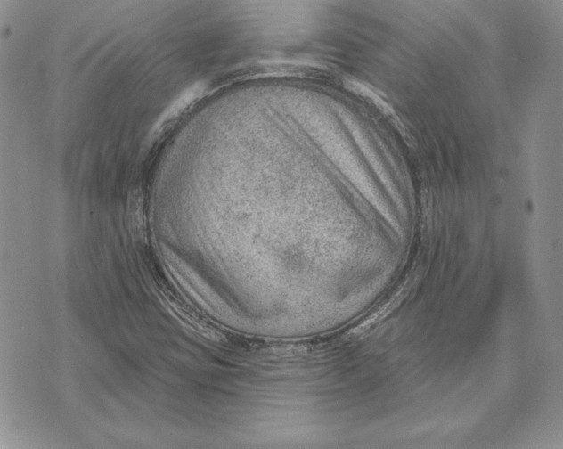 X0000070821403200607071705