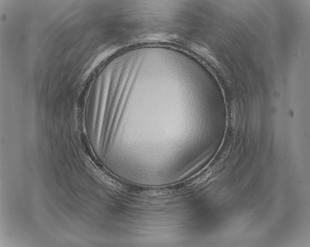 X0000070821404200607071705