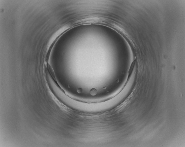 X0000070821426200607071705