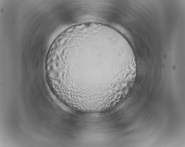 X0000070821431200607071705