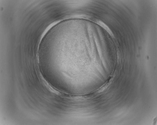 X0000070821436200607071705