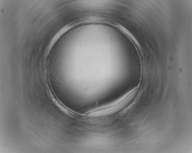 X0000070821437200607071705