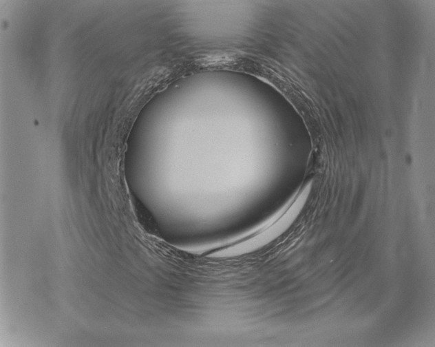 X0000070821441200607071704