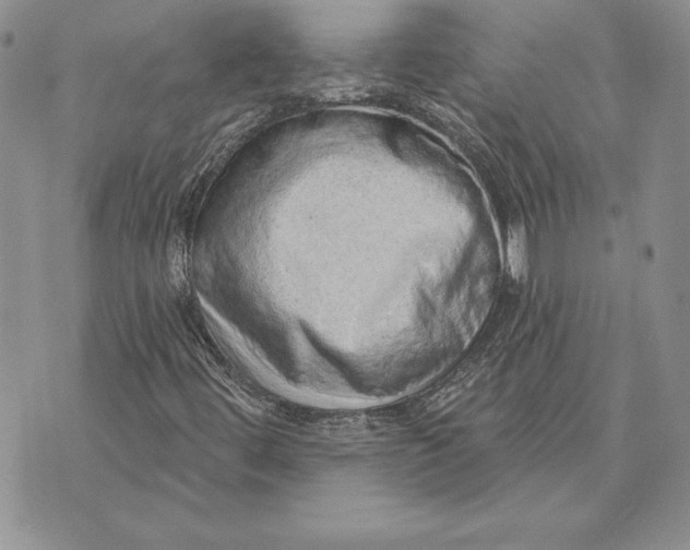 X0000070821444200607071704