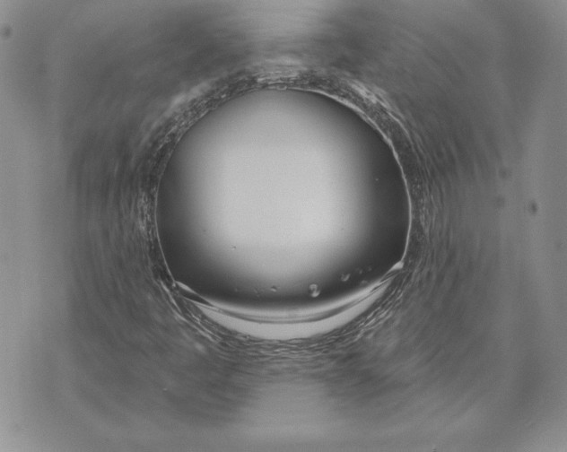 X0000070821445200607071704