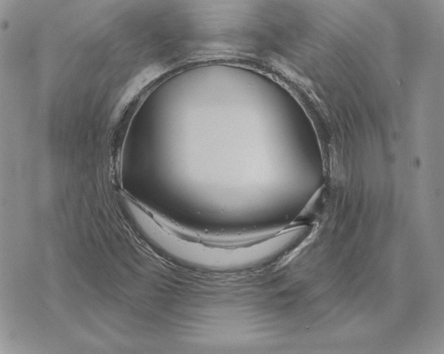 X0000070821453200607071704