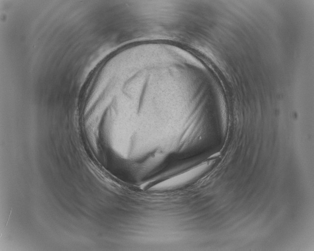 X0000070821460200607071704