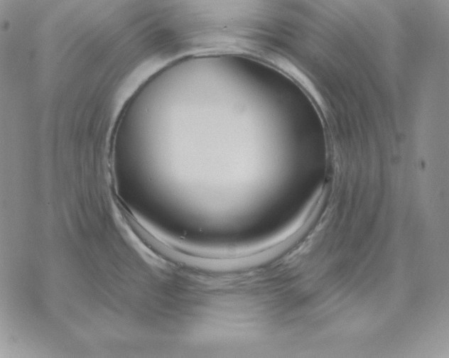 X0000070821485200607071704