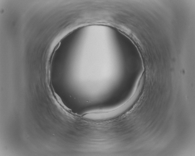 X0000070821520200607071703