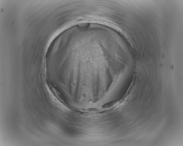 X0000070821522200607071703