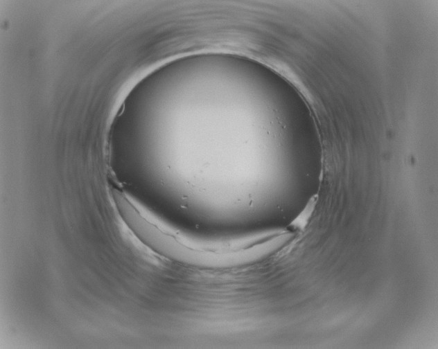 X0000070821532200607071704
