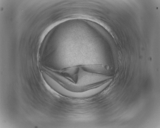 X0000070821535200607071704