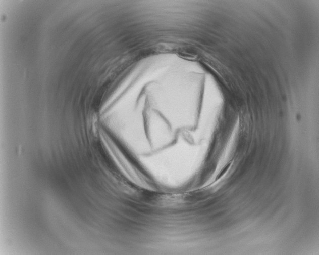 X0000070820094200607142327