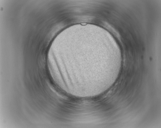 X0000070820107200607142326