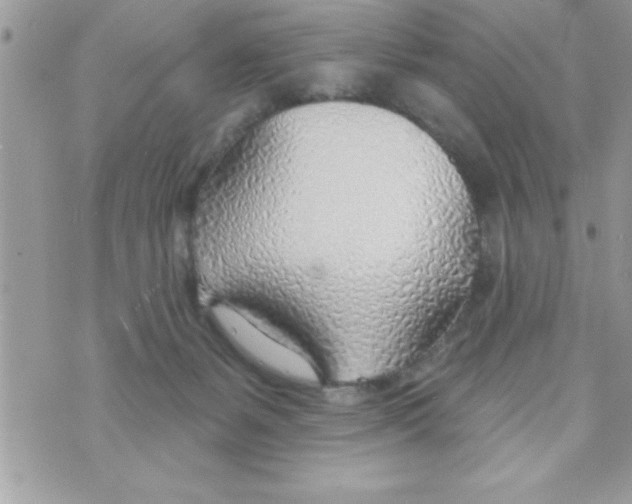 X0000070820127200607142325