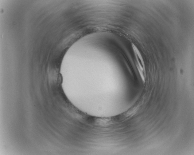 X0000070820139200607142325