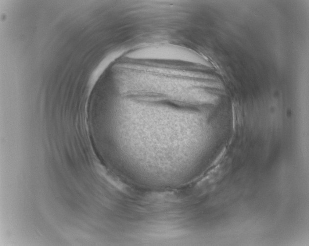X0000070820147200607142324