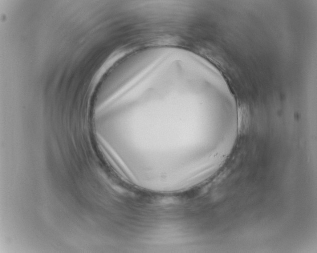 X0000070820195200607142324