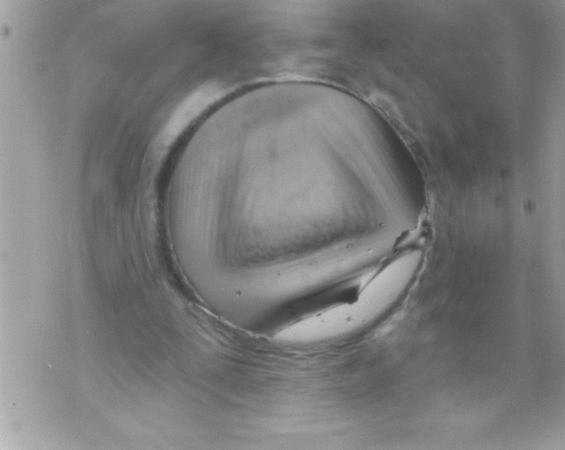X0000070820295200607142323