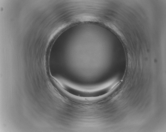 X0000070820391200607142321