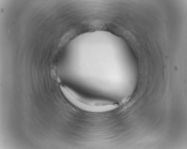 X0000070820432200607142320