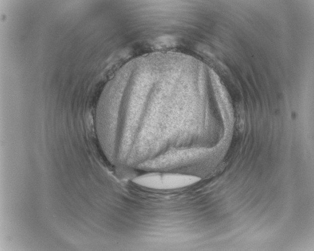 X0000070820523200607142319
