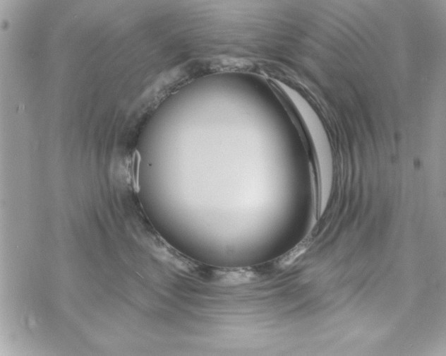 X0000070820621200607142317