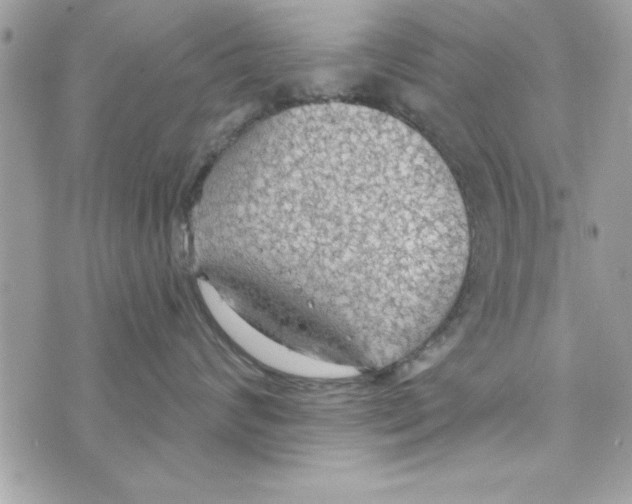X0000070820624200607142317