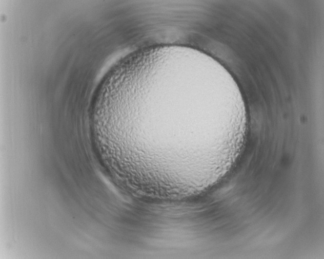 X0000070820626200607142316