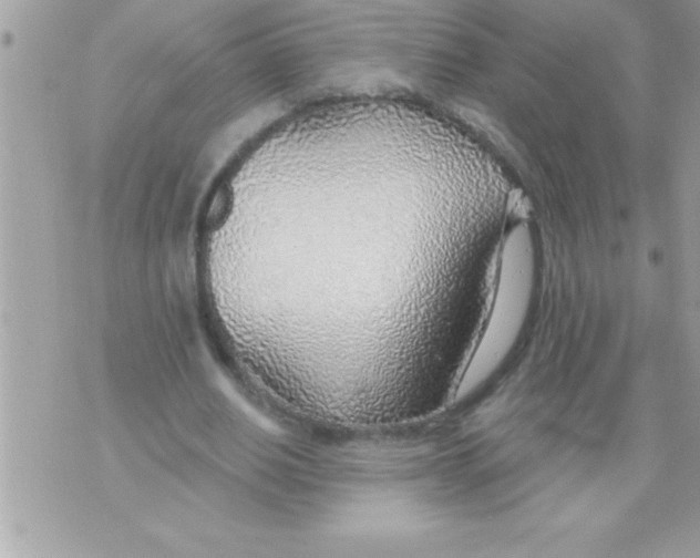 X0000070820630200607142317