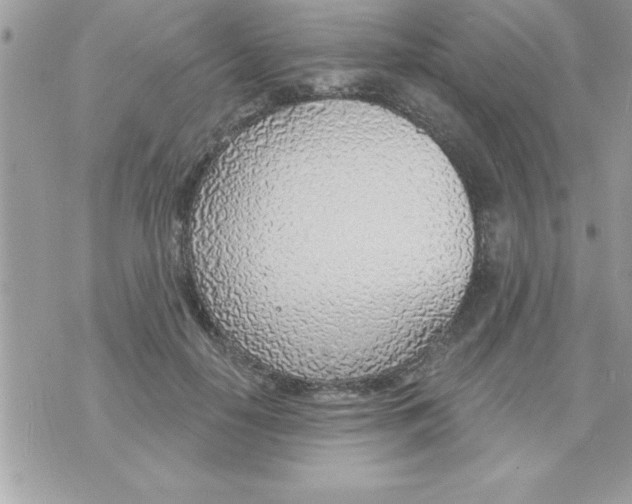 X0000070820650200607142317