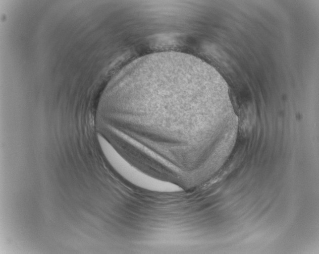 X0000070820669200607142317
