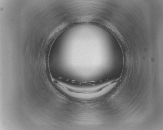 X0000070820681200607142316