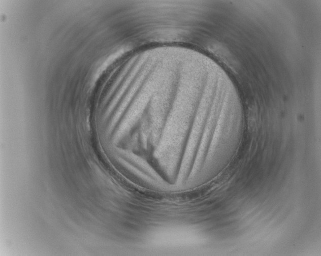 X0000070820727200607142315