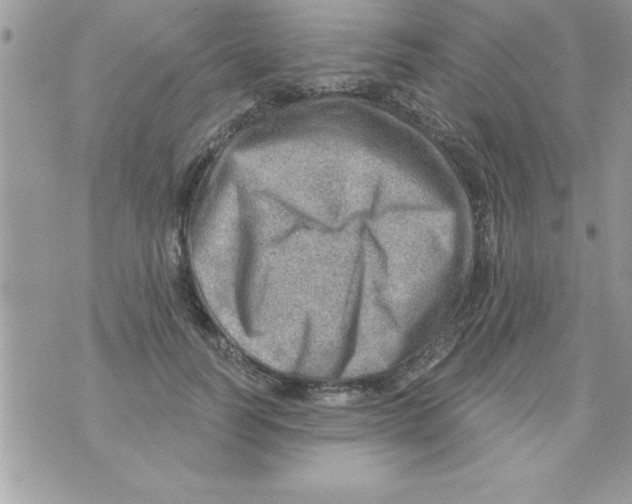 X0000070820746200607142315