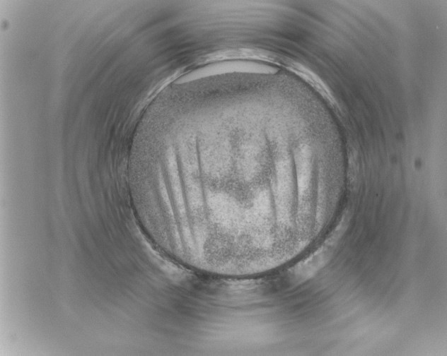 X0000070820849200607142314