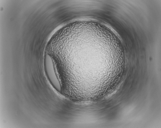 X0000070820853200607142314