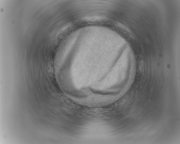 X0000070820966200607142312