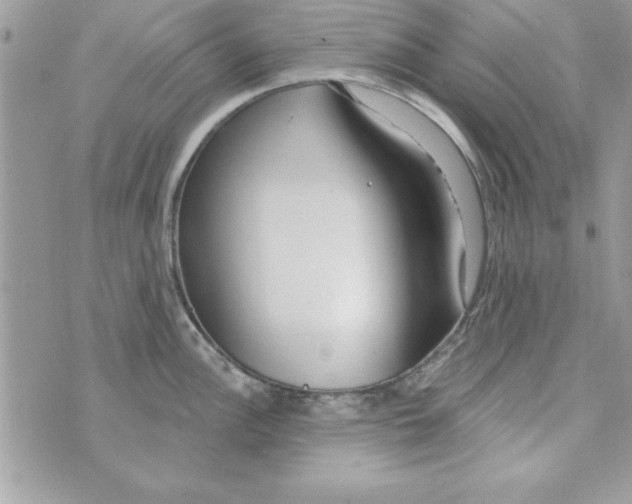 X0000070821148200607142309