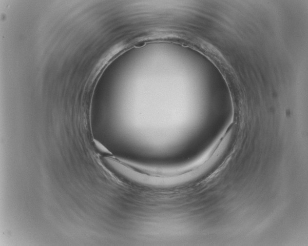 X0000070821177200607142308