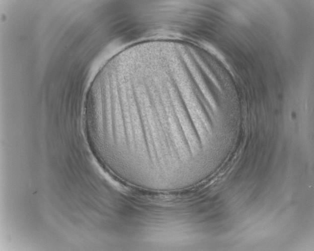 X0000070821379200607142305
